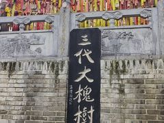 -大槐树寻根祭祖园