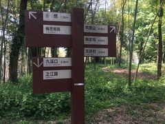 -西湖风景区十里琅珰-五云山