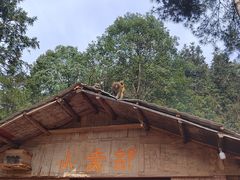 -重庆雨台山风景区