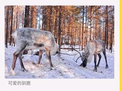-中国最北一家