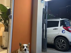 -稀物集咖啡(徽州大道店)