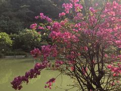 -云溪植物园