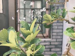 -METAL HANDS铁手咖啡制造局(五道营店)