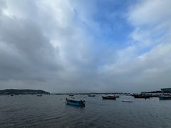 -春妮海味饭店·海景餐厅·海菜包子·大连海鲜