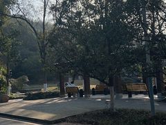-潜山国家森林公园