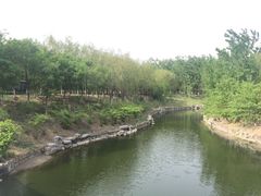 -大兴滨河森林公园