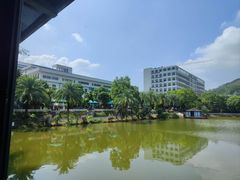 -梧桐庄园