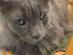 -平行世界·猫咖(首经贸店)