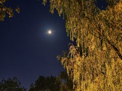 -天鹅湖体育公园