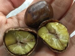 -陈记栗子(长宁路店)