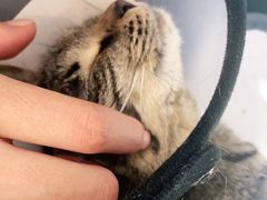 -荔康动物医院(康王北路店)