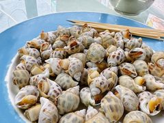 -大东海海鲜酒楼(渔人码头总店)