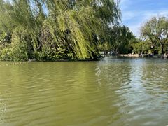 -洛阳市隋唐城遗址植物园