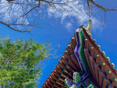 -禅宗少林·音乐大典