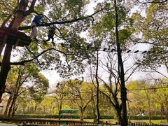 -WeLope紫金山探险公园