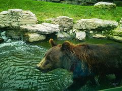 -北京野生动物园