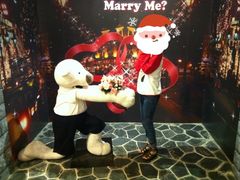 -济州岛泰迪熊博物馆