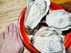 -辉记炭烧海鲜大排档·老字号(福田店)