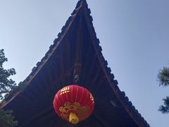 -龙华寺