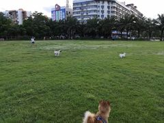 -霞山观海长廊