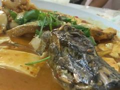 -煲来饱去冷水鱼