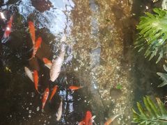-聚缘堂·海鲜私房菜(松岭路店)