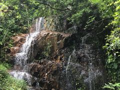 -三水森林公园