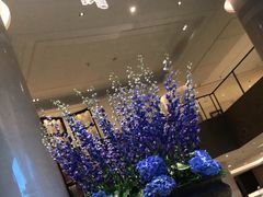 -杭州君悦酒店