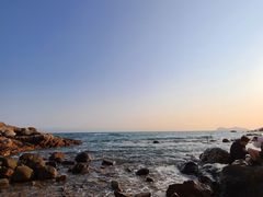 -广东惠东海龟国家级自然保护区