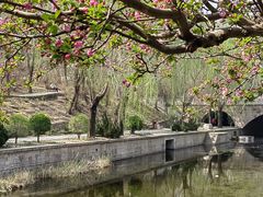 -元大都城垣遗址公园