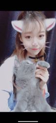 -欧扬医疗美容