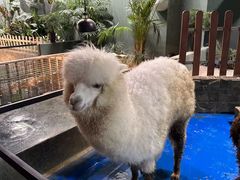 -上海大自然野生昆虫馆(东方明珠·爬宠昆虫探索中心)