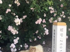 -江南大学(蠡湖校区)