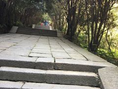 -武当山风景区-太子坡