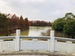 -上海海湾国家森林公园