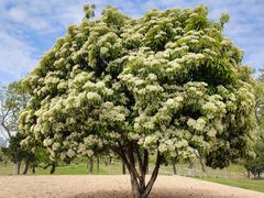 -汉长安城未央宫国家考古遗址公园
