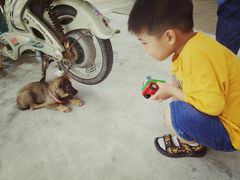 -乡乐园蟹庄·阳澄湖农家乐