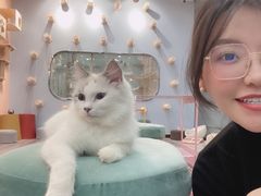 -BABIT巴比特宠物(MOMOPARK店)