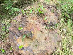 -南京金牛湖风景区