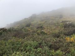 -妙峰山风景名胜区