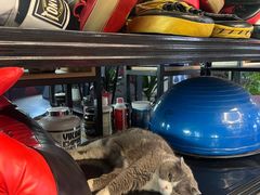 -KingBull私教健身&格斗订制(龙井商业中心店)