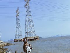 -宝安西湾红树林湿地公园