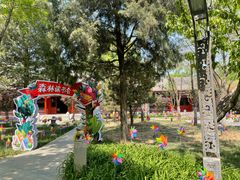 -南宫五洲植物乐园