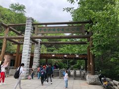 -牛背梁国家森林公园
