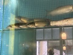 -顺峰顺水顺德菜(龙华店)