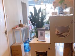 -Cappucimeow猫咪咖啡馆(韦伯时代店)