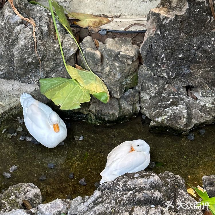 在桂林|找到了适合家庭朋友聚餐的好地方！
