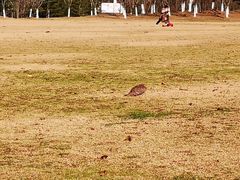 -满江春羽毛球馆