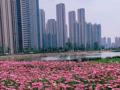 -汉江湾体育公园