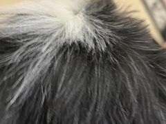 -宠颐生汉谟拉比宠物医院